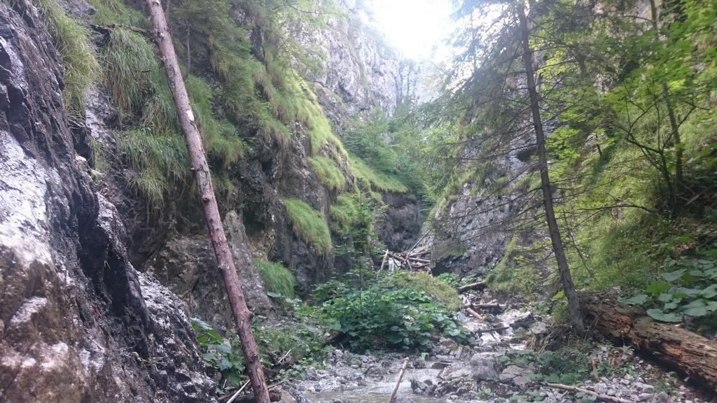 Štúdiá Pohoda Čingov Slovenský raj Spišské Tomášovce Exterior foto